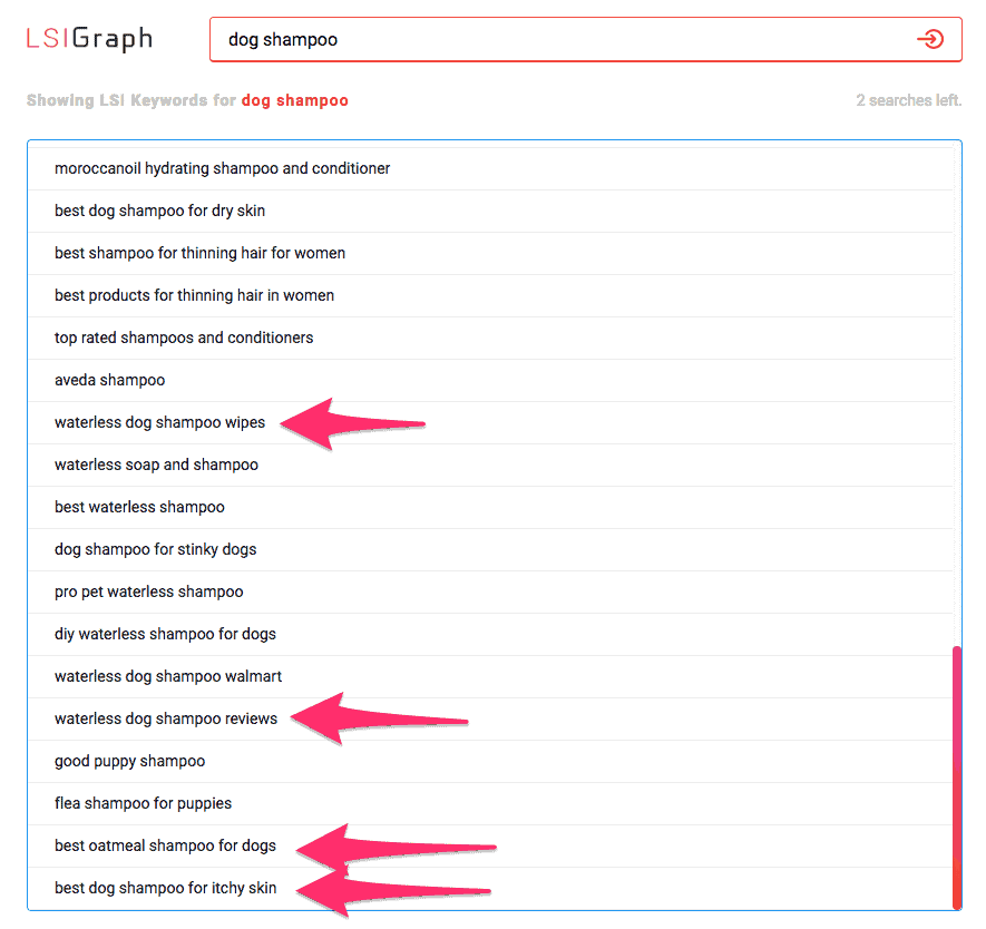LSI keywords for dog shampoo