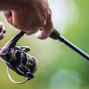 Fishing Gear