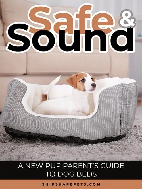 Dog Beds and Dog Harnesses - Image 3